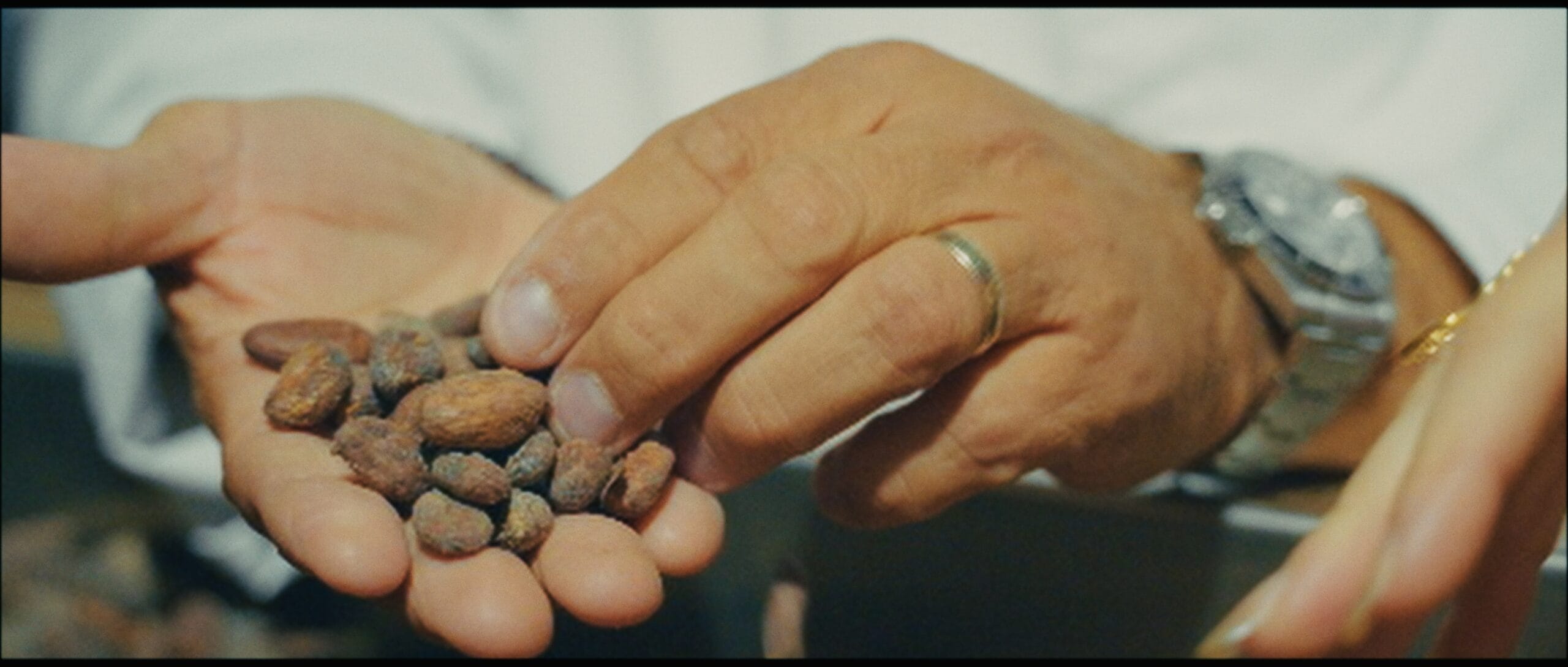 Vincent Guerlais, maître chocolatier nantais, inspectant des fèves de cacao lors du tournage d'un court-métrage