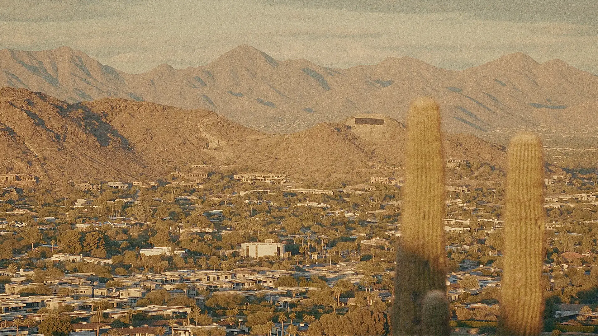 PHOENIX 1
