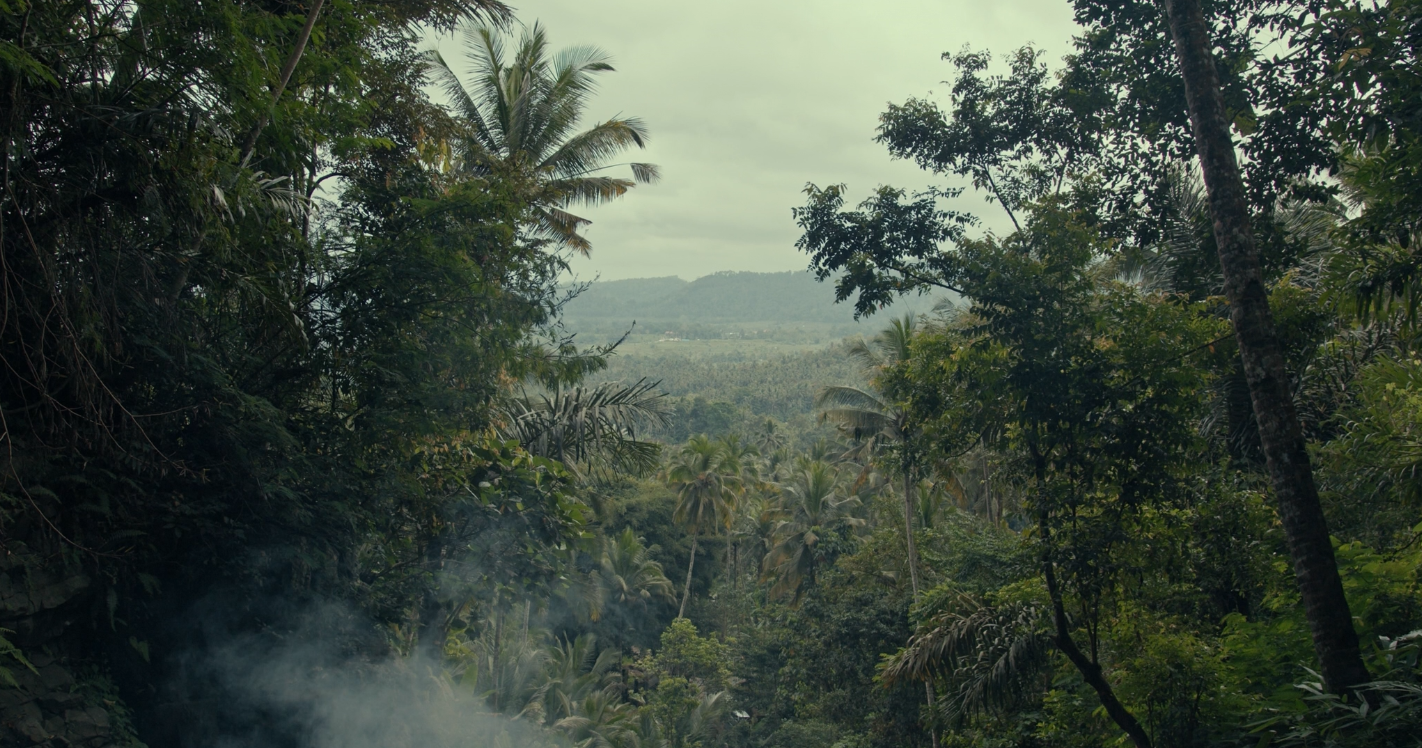Forêt tropicale dense et verdoyante, vue en plongée, avec une canopée recouverte d’humidité.